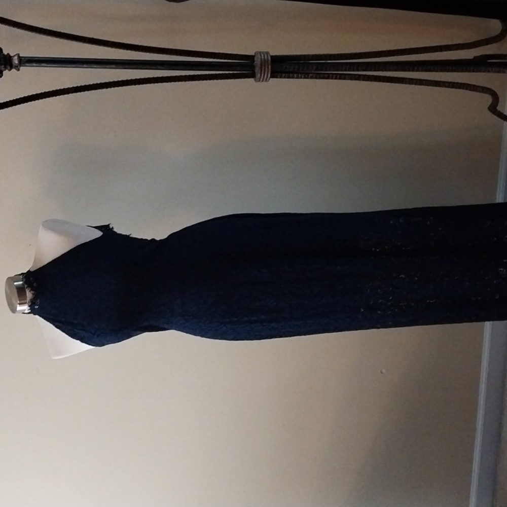 NWT BB DAKOTA Formal Lace Dress